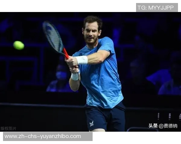 安迪李对决强敌展现实力引发热议期待精彩比赛结果