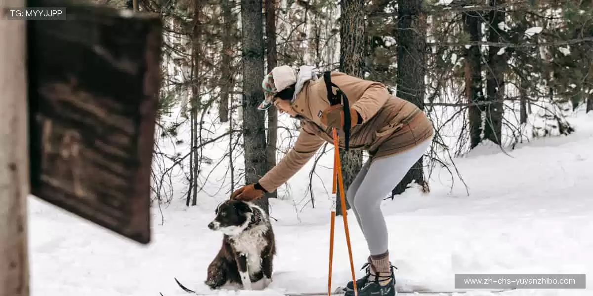 ⚽ 绿茵战场,群雄逐鹿!与千万球迷共赴荣耀盛宴!